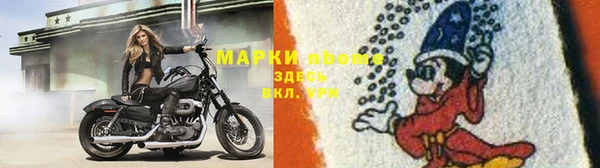 PSILOCYBIN Нефтегорск