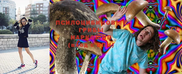 дмт Нея