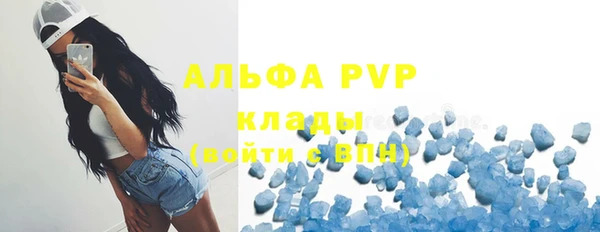 PSILOCYBIN Нефтегорск