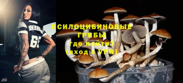 PSILOCYBIN Нефтегорск