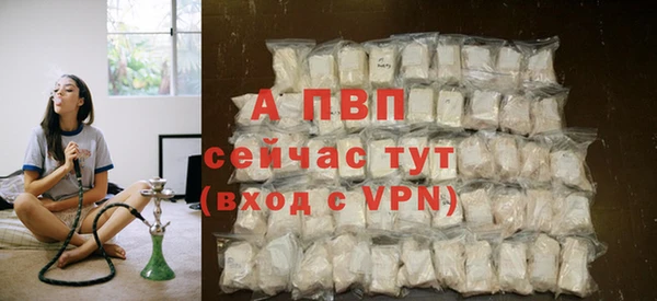 стафф Новозыбков