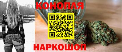 мяу мяу мука Жуковский